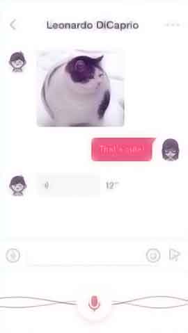 免费ddos压力测试平台软件程序维护界面